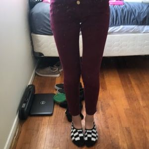 Burgundy pants/jeans